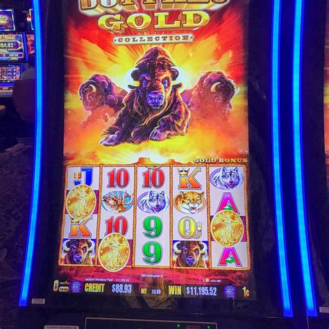 buffalo gold slot free|free slots on line buleffo gold.